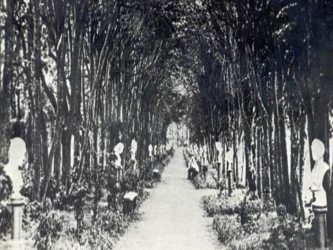Так выглядела липовая аллея при графе Храповицком. Это была одна из 8 аллей лучами расходящихся от усадьбы. Были также пихтовая, лиственничная, отрадня, березовая - самая длинная до 2 км. Она вела к станции до поселка Передел. В 1910 году лесоводом Гарле был сделан новый проект парка.. Всего в парке росло 136 редких пород деревьев( сейчас осталось 79).